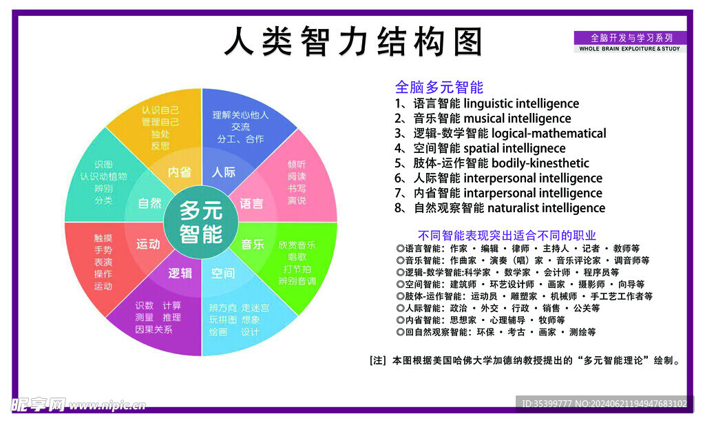人类智力结构图