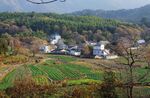 江西  乡村  田园   农村