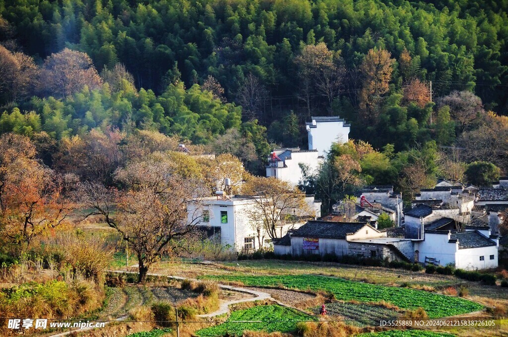 江西风光