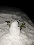 雪人