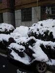 雪景