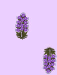 手绘花