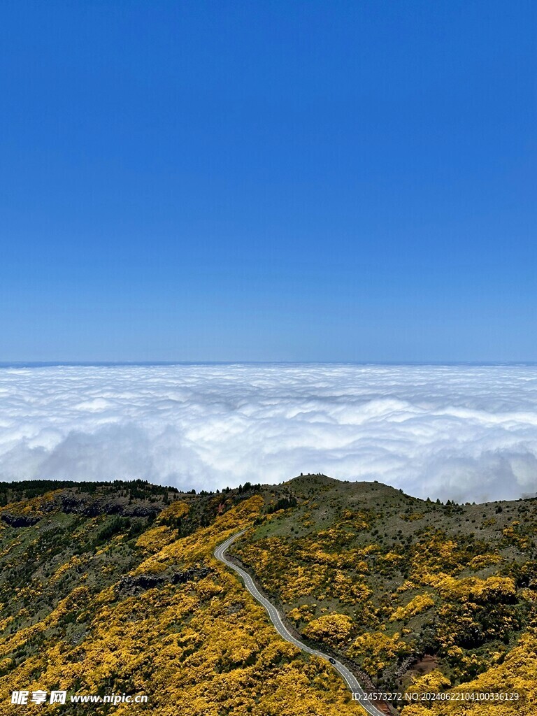 海景