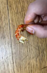 麻辣小龙虾 