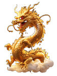 金龙
