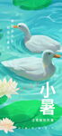 小暑海报