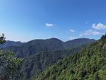 山