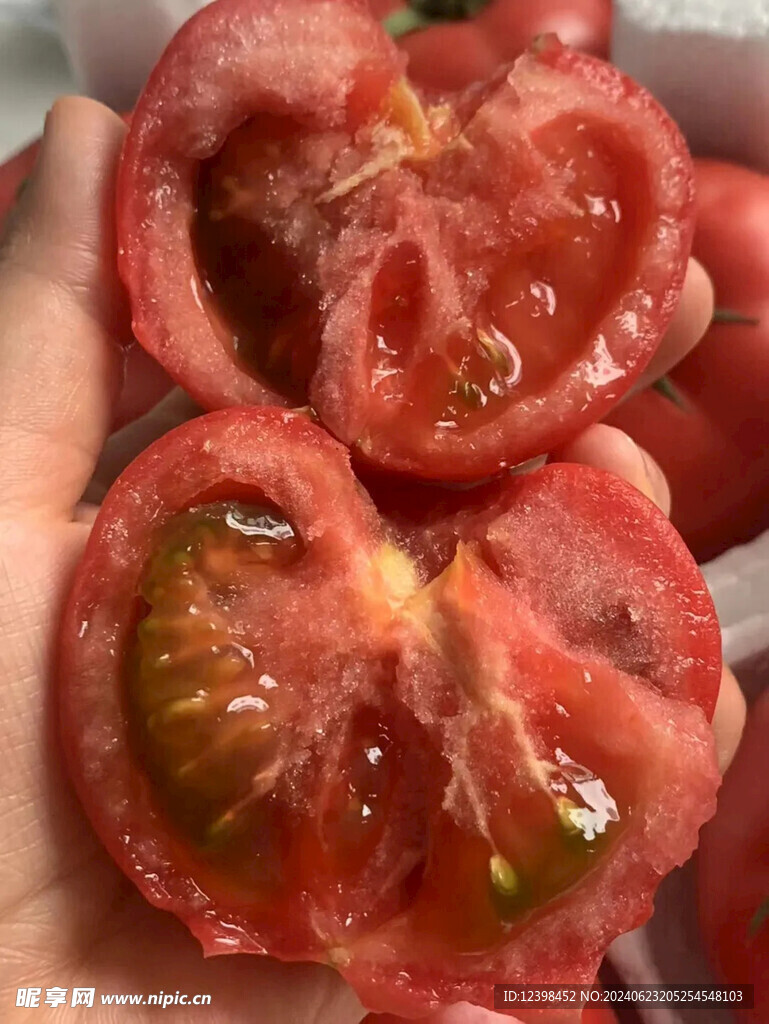 番茄