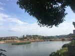 湖水天空树