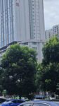 树建筑