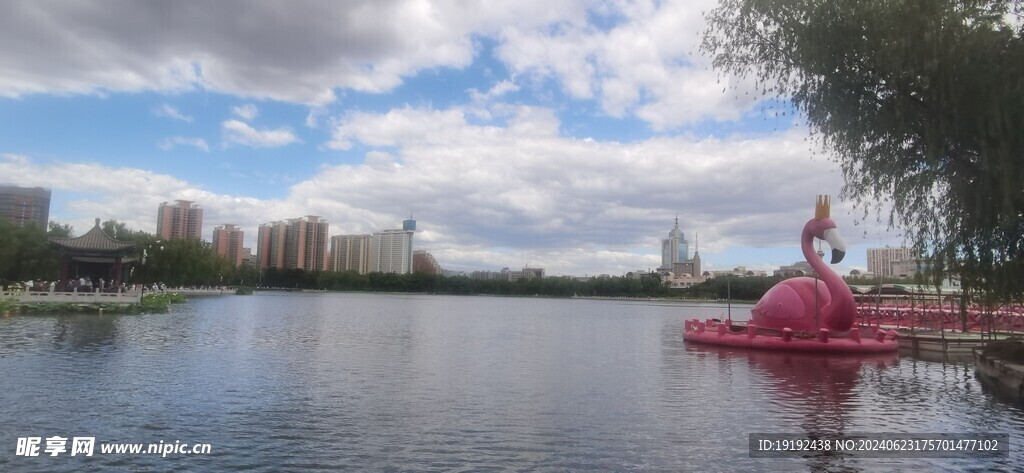 公园风景  