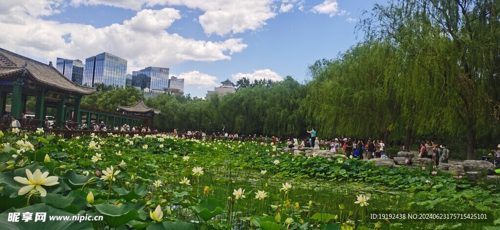 公园风景 
