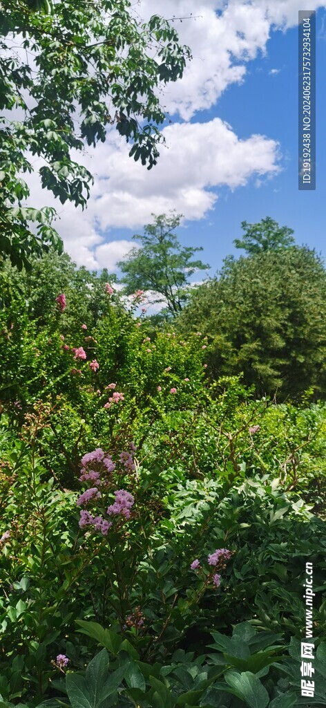 公园风景  