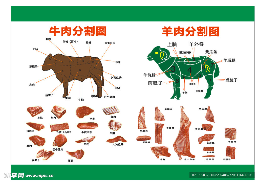 牛羊肉分割图