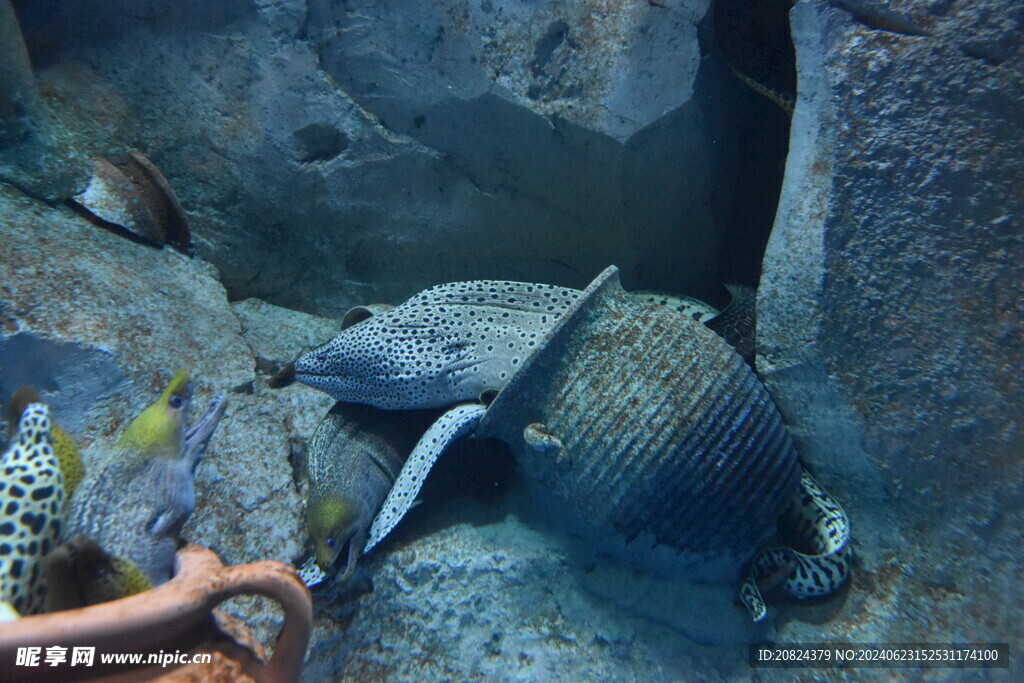 水族馆