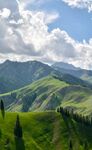 山景