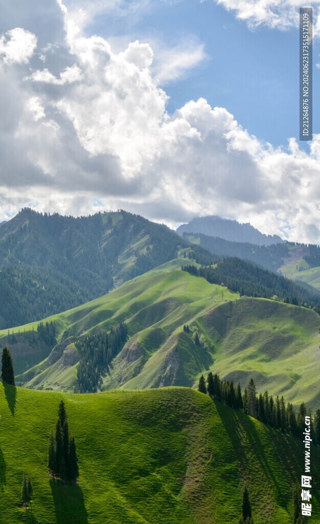 山景