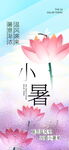 小暑海报 