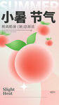 小暑海报