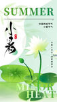 小暑海报