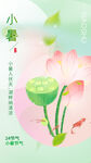 小暑海报