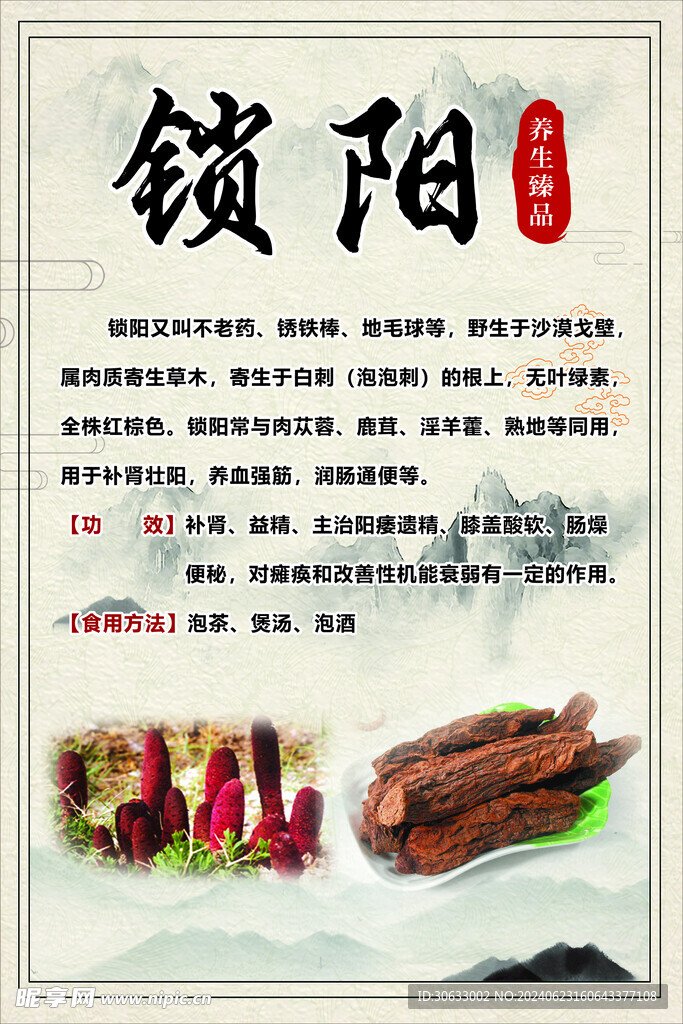 锁阳海报