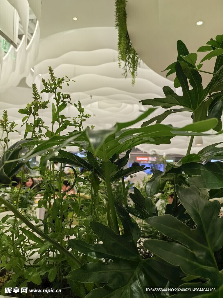 餐厅