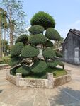老宅景观