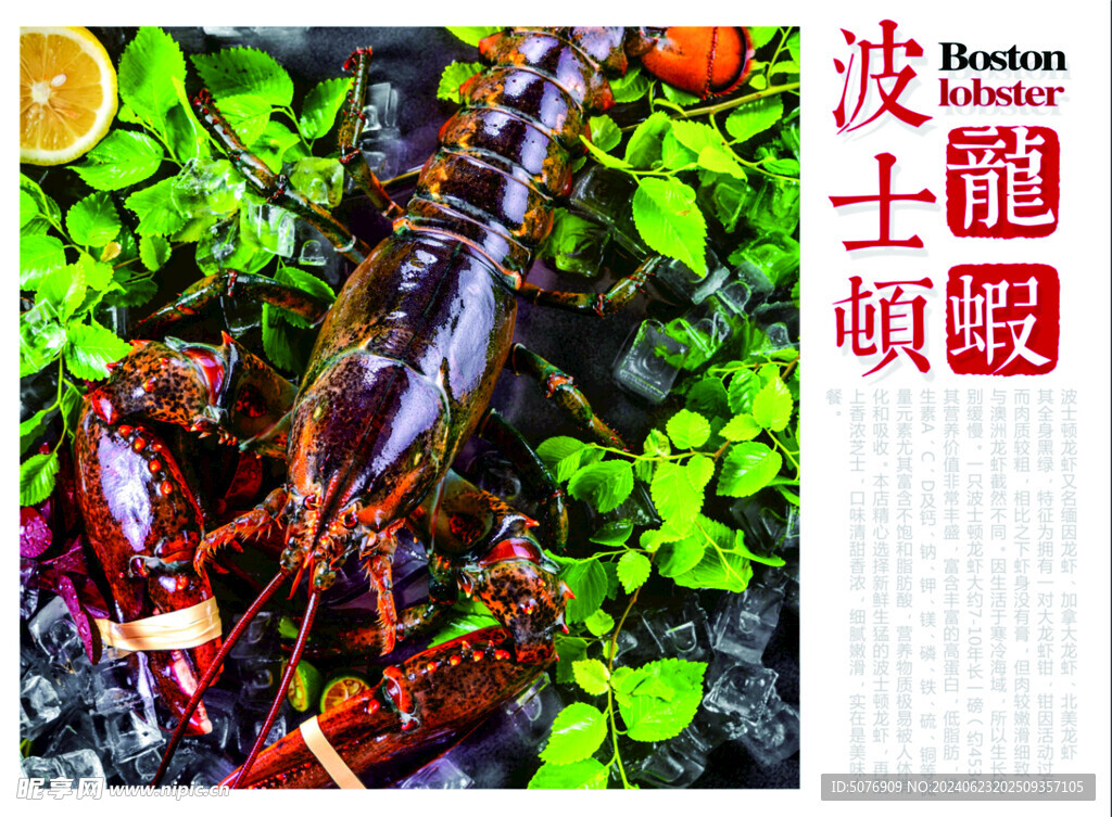 波龙虾