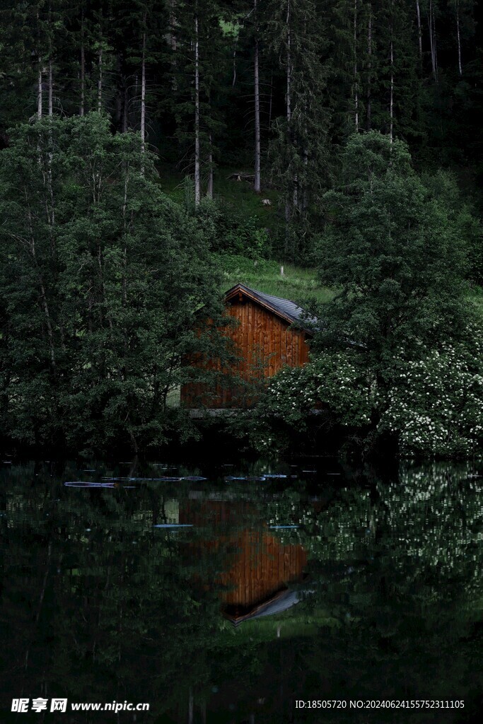 森林小屋