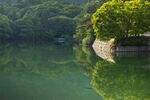 池塘景色