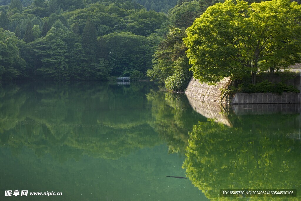 池塘景色