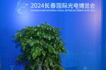 2024长春国际光电博览会