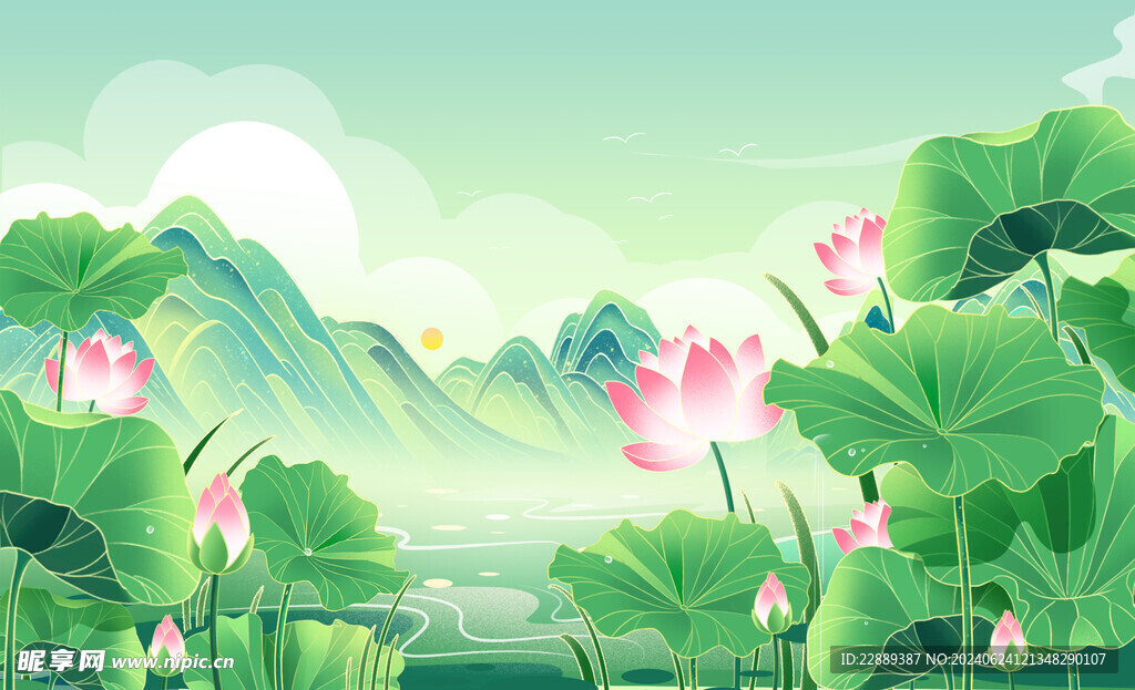 荷花手绘背景