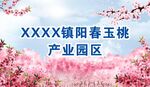 桃子海报