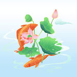  荷花 