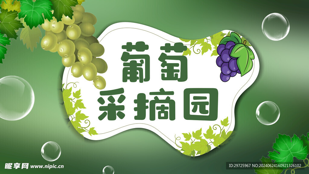 葡萄采摘园