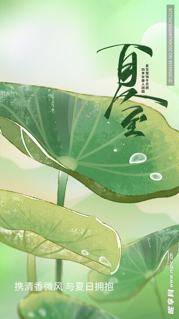 夏至节气海报