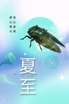 夏至节气海报
