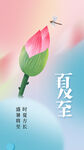 夏至节气传统海报