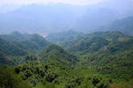 紫金山风景