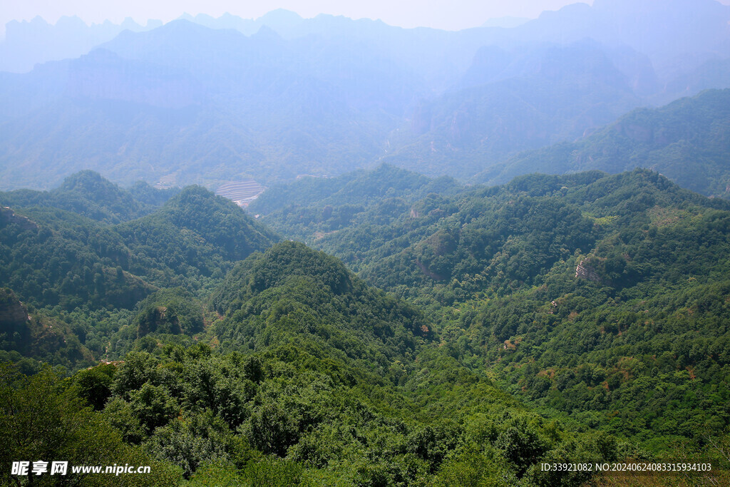 紫金山风景