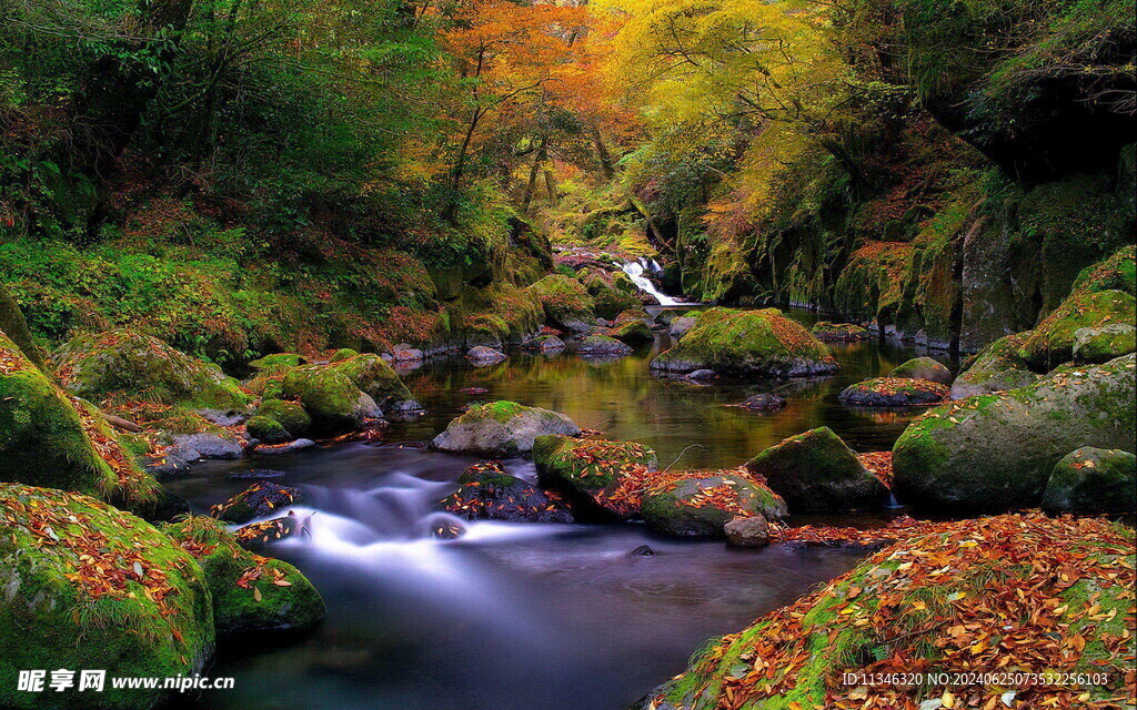 自然风景