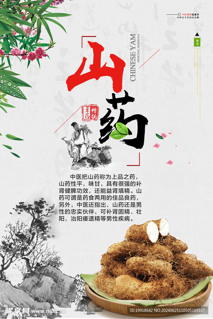山药海报 