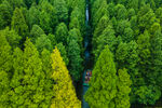 青山绿水
