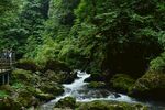 青山绿水