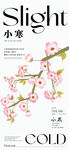 花卉节气海报