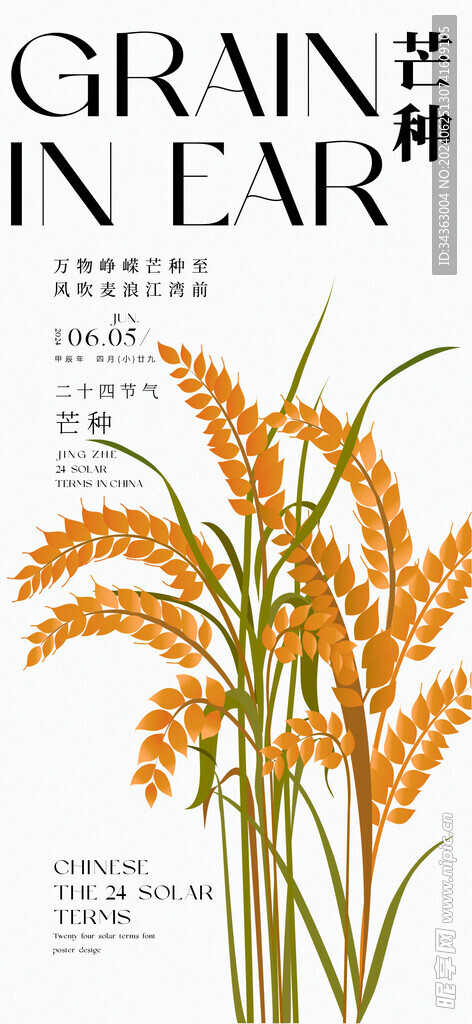 花卉节气海报