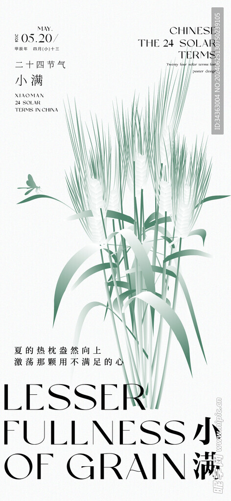 花卉节气海报