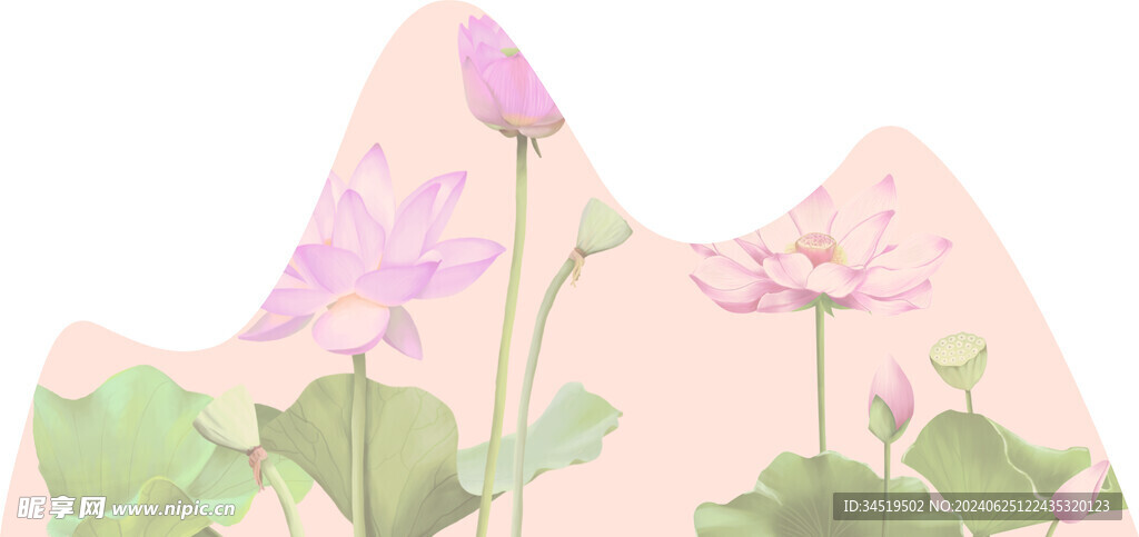 荷花山